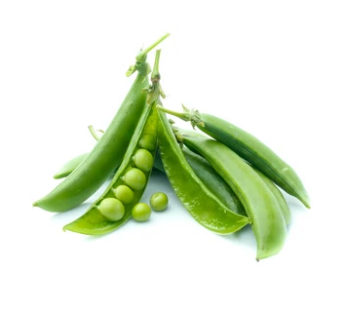 Green Pea